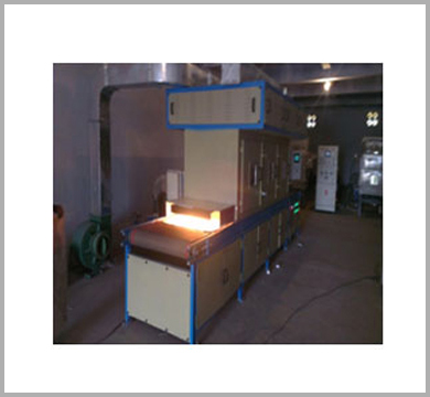 Continuous Microwave Heating Systems