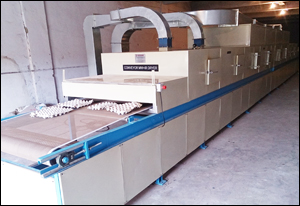 Coveyor-MW-IR-Dryer