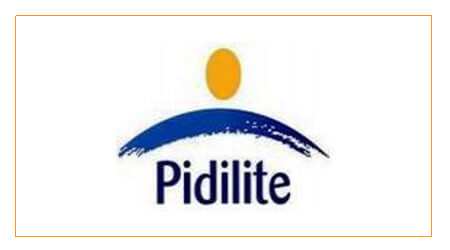 Pidilite Pidilite